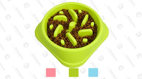 For cats who love to eat but need to slow down, the Wangstar Pet Slow Feeder Bowl will stop them in their tracks.